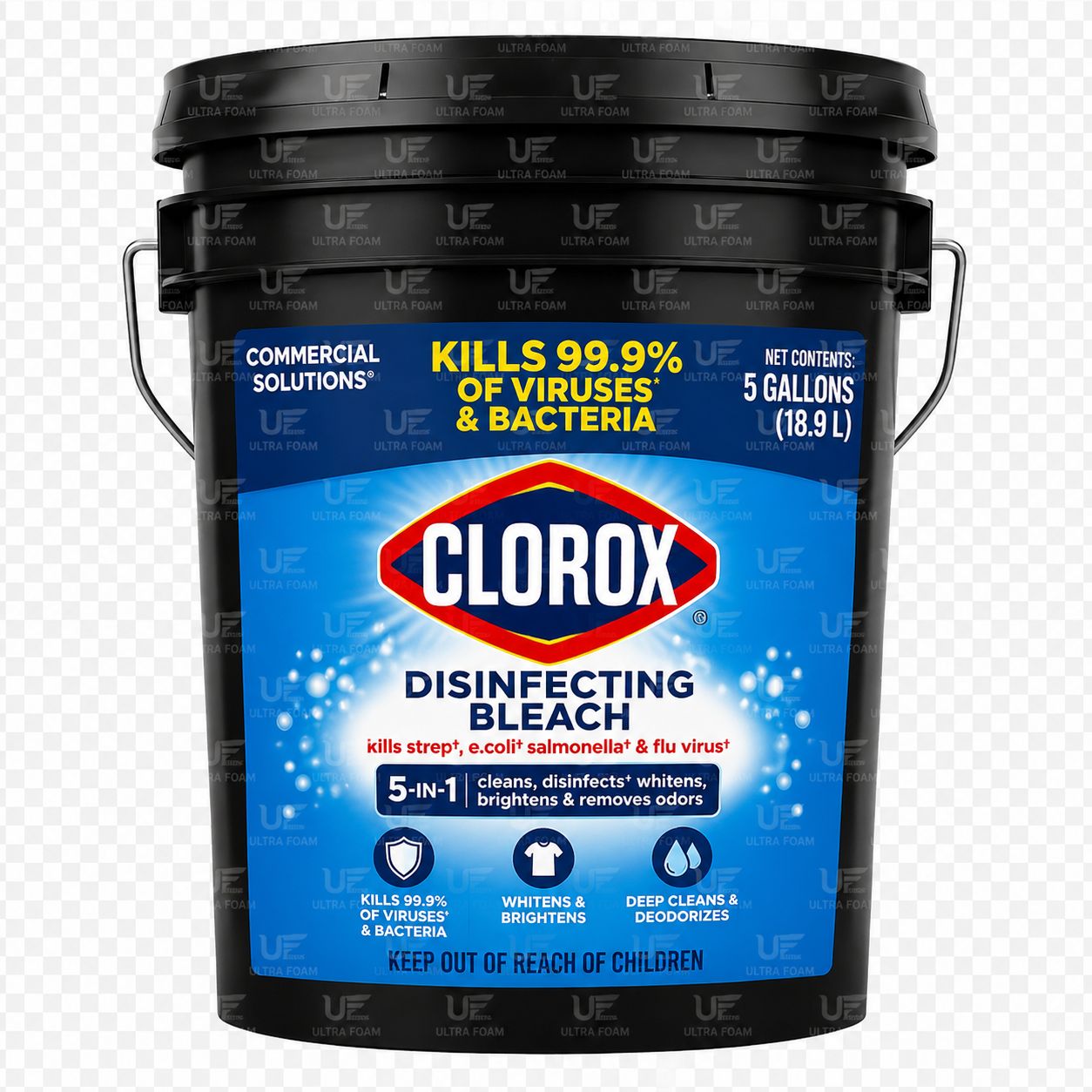Clorox Bleach